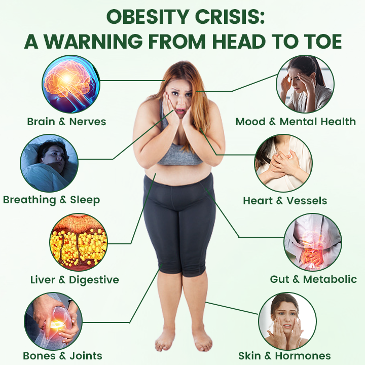 Timilk® Moringa · Berberine + NAD+ 10-in-1 Nano Microneedle Patch